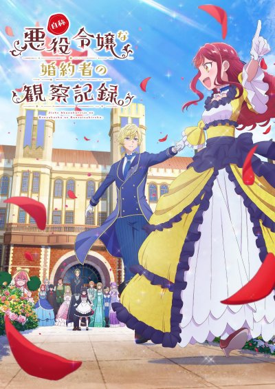 Дневник наблюдений за моей невестой